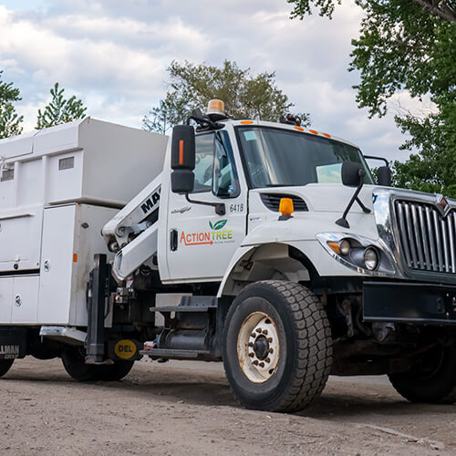 Action Tree Deep Root Fertilization service Kelowna