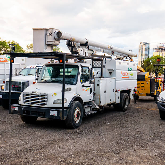 Action Tree's tree pruning boom truck available to serve Kelowna