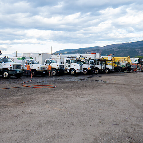 Parked of arborist trucks and cranes.