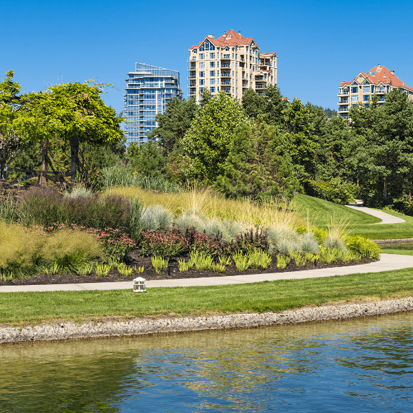 Downtown Kelowna garden