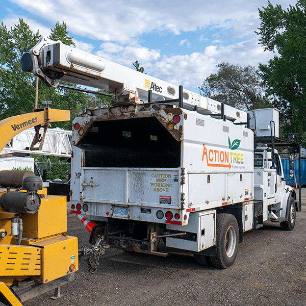 Action Tree's chipping truck